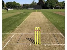Image result for Barnards Green Cricket Club