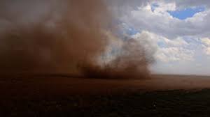 Image result for Tadcaster Tornadoes