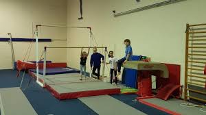 Image result for Tamworth Olympic Gymnastics Club