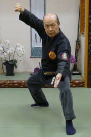 Image result for Inyo Karate Do Ninbukan