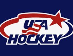 Image result for Burton Hockey Club