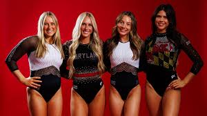 Image result for Buckley Girls Gymnastic Club