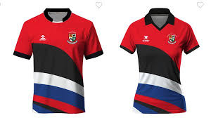 Image result for Penzance Hockey Club