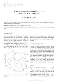 Attēlu rezultāti vaicājumam “Oligonema flavidum spores”