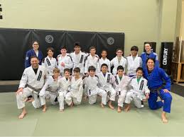 Image result for Northern Freestyle Karate Association
