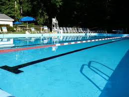 Image result for Poole Swimming Club