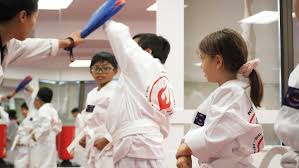Image result for York University Taekwondo Club