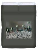 Attēlu rezultāti vaicājumam “Physarum penetrale”