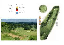 Image result for Betchworth Park Golf Club