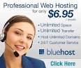 Web Hosting, Website Hosting