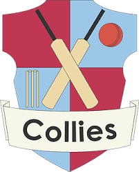 Image result for Coleshill Cricket Club