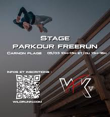 Image result for Les Voleurs Parkour Club