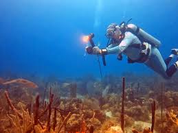 Image result for Scuba Fun
