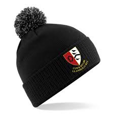 Image result for Llandeilo Rugby Football Club