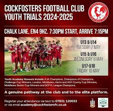 Image result for Cockfosters Football Club
