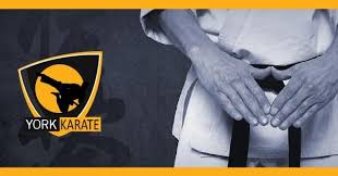Image result for York University Karate Club