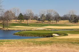 Image result for Flint Golf Club