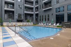 Image result for Alton & District Swimming Club