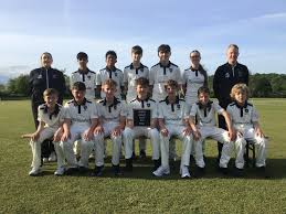 Image result for Rodley Cricket Club
