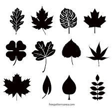 Attēlu rezultāti vaicājumam “leaf”