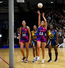 Image result for Wombles Netball Club