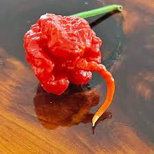 Afbeeldingsresultaat voor 7 pot hot pepper