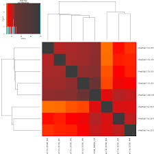 Attēlu rezultāti vaicājumam “Hedya salicella”