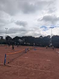 Image result for South Petherton Tennis Club