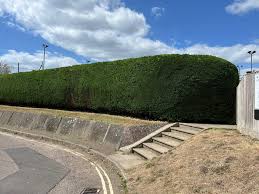 Image result for Seaton Cricket & Lawn Tennis Club