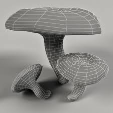 Attēlu rezultāti vaicājumam “Lactarius necator”