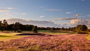 Image result for Walton Heath Golf Club