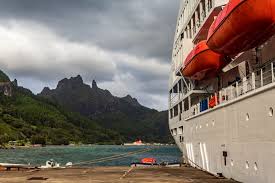 Attēlu rezultāti vaicājumam “Aranei exuvia”