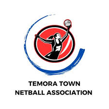 Image result for Top Corner Hoxton Netball