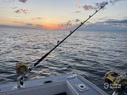 Image result for Newhaven Deep Sea Anglers