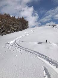 Image result for Skiing and Boarding at Allenheads