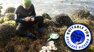 Image result for The London No 1 Diving Club