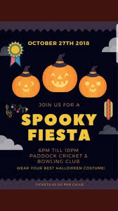 Image result for The Paddock Cricket Club