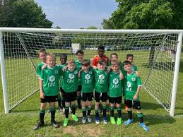 Image result for Welwyn Garden City Panshanger Football Club