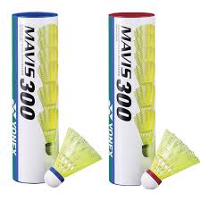 Image result for Thame Shuttles Badminton Club