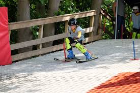 Image result for Sandown Sports Club