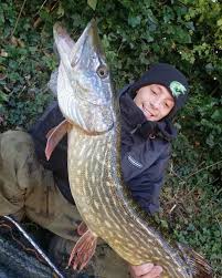 Image result for Northwich Predators