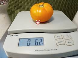 Afbeeldingsresultaat voor caro rich tomato