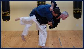 Image result for Hachidori ju-jitsu Martial Arts