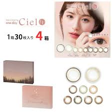 「ネオサイトワンデーシエル」の画像検索結果