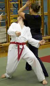 Image result for White Oak Aikido Reading