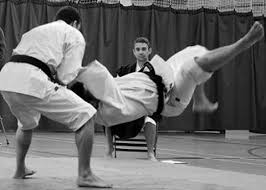 Image result for University of Bristol Shorinji Kempo Club