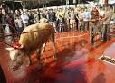 The Vicious Babushka: The Eid Mass Animal Slaughter is Underway ...