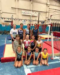 Image result for City Of Hull Olympic Gymnastics Club