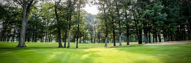 Image result for Whitehall Golf Club