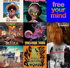 Image result for Worst album covers